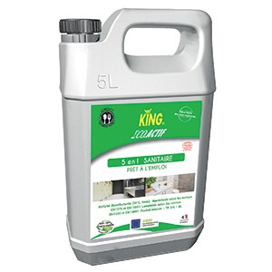 SANITAIRES 5 EN 1 PAE Nettoyant désinfectant menthe (5 lt)