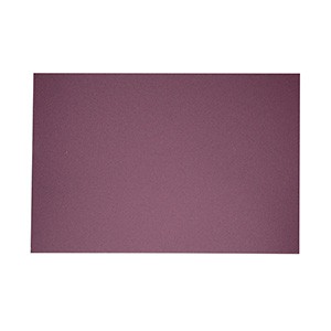 EXCENTR Papiers de verre grain 40 (55-35) (10 pièces)