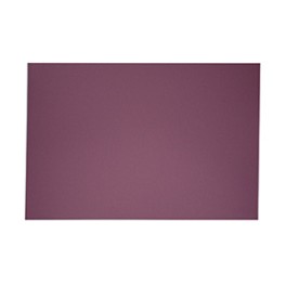 EXCENTR Papier de verre grain 60 (55-35) (10 pièces)