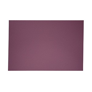 EXCENTR Papier de verre grain 60 (55-35) (10 pièces)