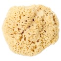 Eponge naturelle diam. 16 cm