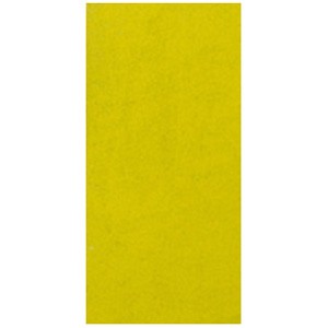 Disque SUPERSHINE PLUS 25 x12 GRAIN N°3 pour MINIPOWER