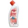 WC GEL BACT (750ml)