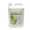 GREEN R EXPERT STRIPPER (5 lt)